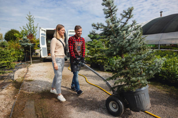 Professional Tree Service in Remlap, AL